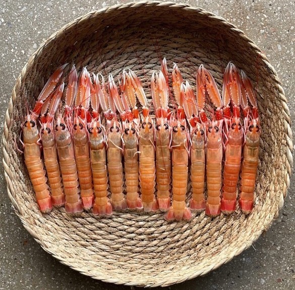 Crayfish