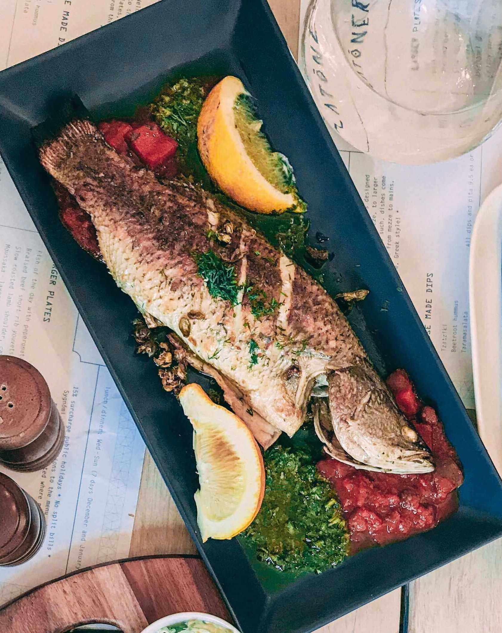 European Sea Bass